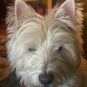 Meet your Posher, Jill